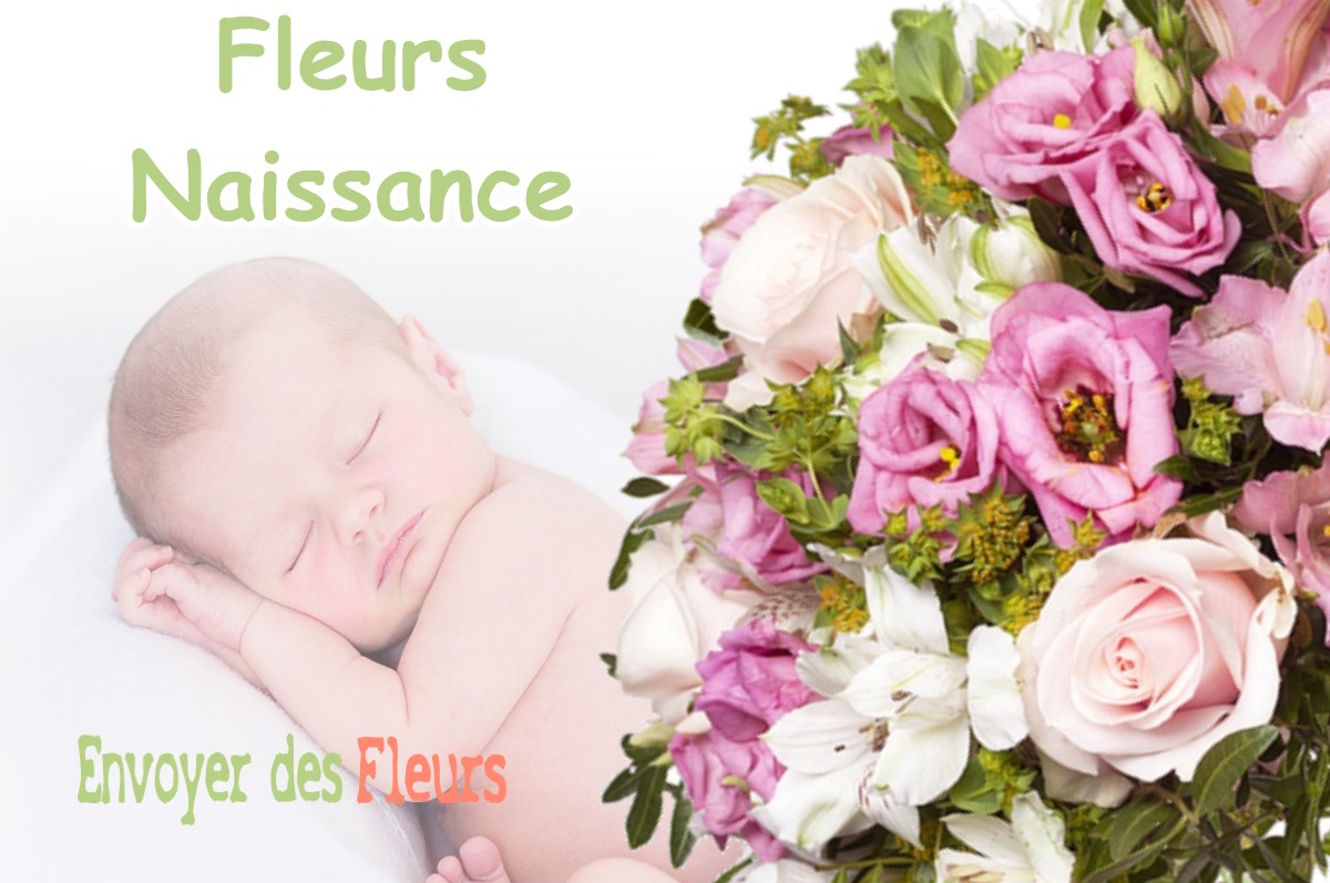 lIVRAISON FLEURS NAISSANCE à LA-CHAPELLE-DU-BARD